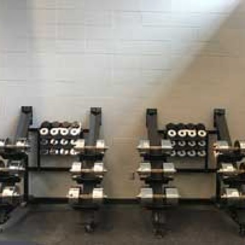 Michigan Football uses Black Iron Strength® use Antimicrobial Copper Adjustable Dumbbells.